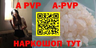 Альфа ПВП Беслан